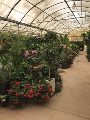 Whitfill Nursery 820 N Cooper Rd Gilbert Az Garden Centers Mapquest 820 N Cooper Rd Gilbert Az