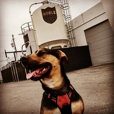 Noble Ale Works by null