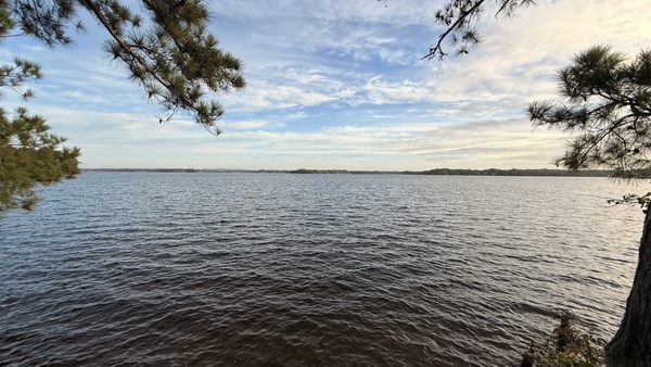 Dreher Island State Park by null