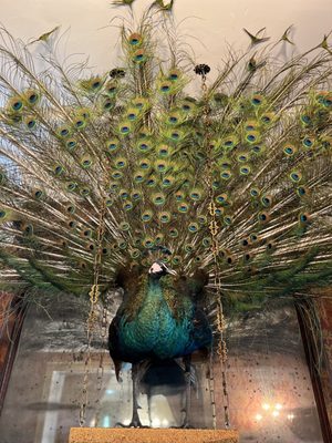 The Gilded Perch by null