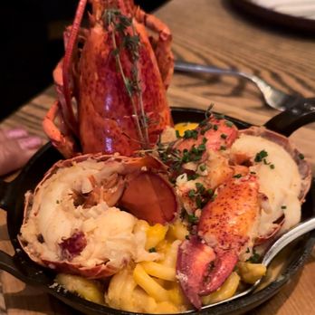 Yardbird - Just sone lobster - Southern Near Me - Las Vegas, Nevada