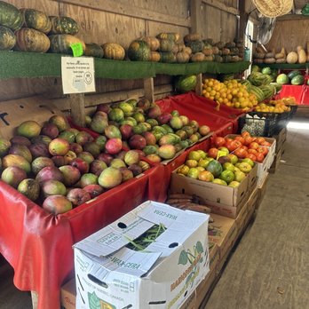 Maria Corona Produce - Farmers Market Near Me - Miami, Florida Maria Corona Produce - Farmers Market Near Me - Miami, Florida