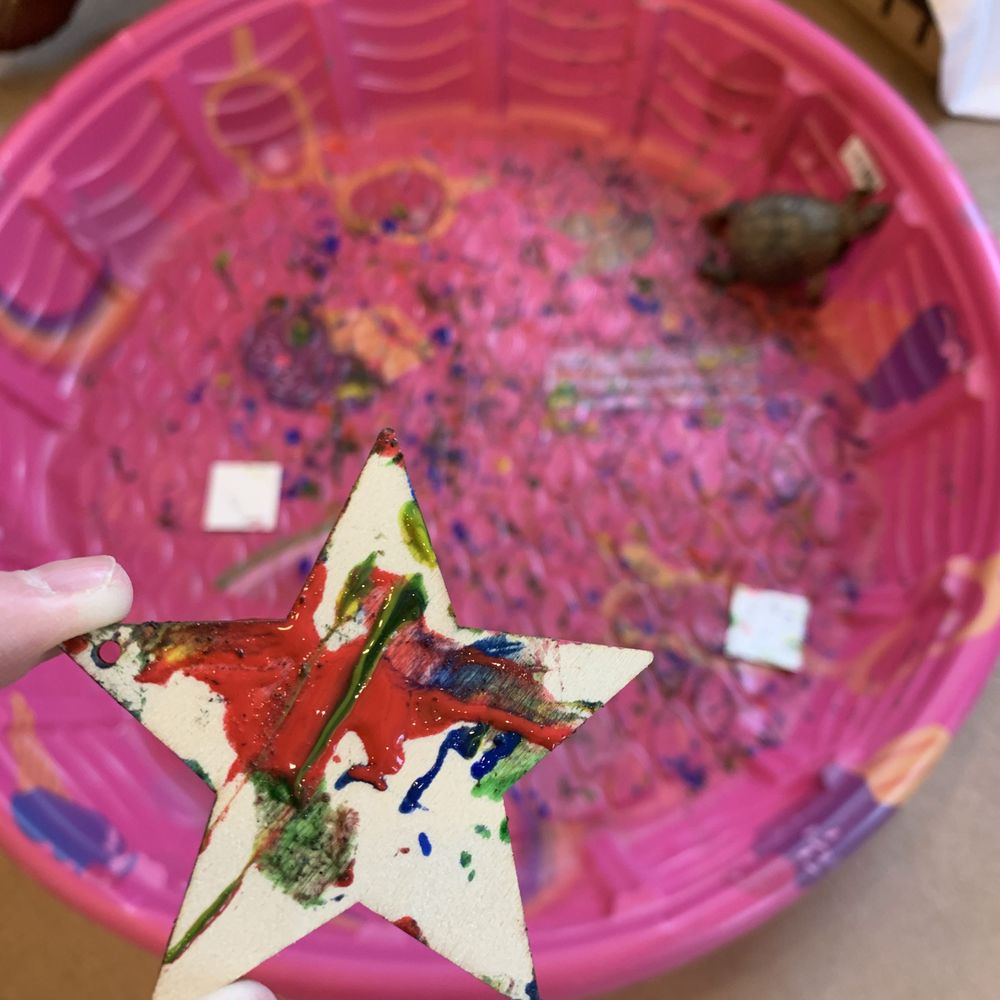 Ohio Wildlife Center - Our masterpiece by "Flash" the tortoise - Community Service/Non-Profit Near Me - Powell, Ohio