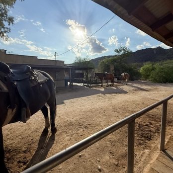 Ponderosa Stables - Horseback Riding Near Me - Phoenix, Arizona Ponderosa Stables - Horseback Riding Near Me - Phoenix, Arizona
