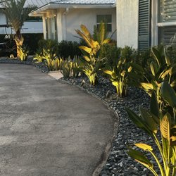 Tropical Tree and Landscape - Curb appeal is in !