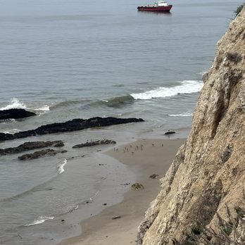 Carpinteria Bluffs Nature Preserve - Hiking Near Me - Carpinteria, California