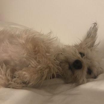 Muddy Paws Rescue - Animal Shelters Near Me Muddy Paws Rescue - Animal Shelters Near Me