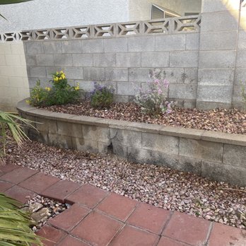 H.Ramirez Landscaping - After - Tree Services Near Me H.Ramirez Landscaping - After - Tree Services Near Me