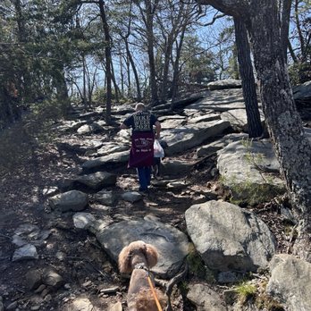 Hanging Rock State Park - Mom! Watch me do a Billy goat impression! - Parks Near Me - Westfield, North Carolina