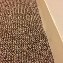 Argonne Guest House - The carpet, which is coming off of the floor