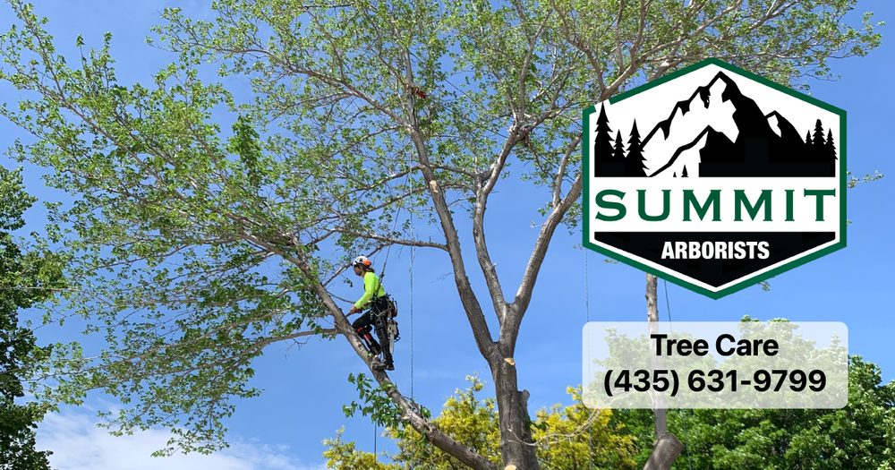 Summit Arborists - tree service in Salt Lake City, UT
