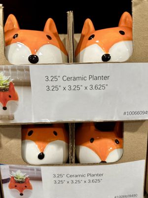 The Home Depot by null