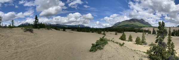 Carcross Desert by null