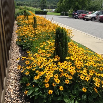 Cracker Barrel Old Country Store - Breakfast & Brunch Near Me - Troutville, Virginia
