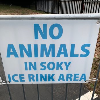 SoKy Ice Rink - No pets - Local Flavor Near Me - Bowling Green, Kentucky