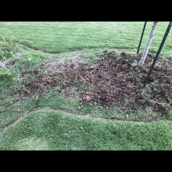 Oak Grove Lawn and Landscape - My "new" $3,000 flowerbed. - Landscaping Near Me