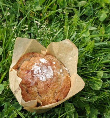 Golden Yolk Griddle by null