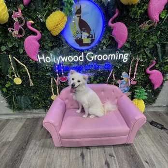 Hollywood Pet Center - Pet Stores Near Me - Burbank, California Hollywood Pet Center - Pet Stores Near Me - Burbank, California