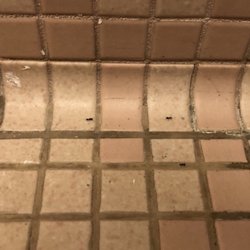 Woodlake at Tolland - Filth
