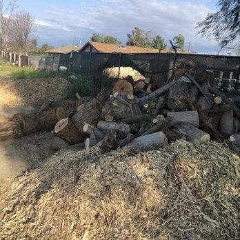Castros Tree Services - Tree stumps he didn't take - Tree Services Near Me Castros Tree Services - Tree stumps he didn't take - Tree Services Near Me