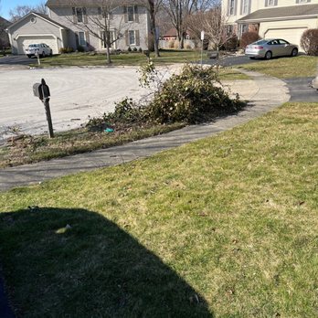 Seiberts Tree Care - Brush left behind - Landscaping Near Me