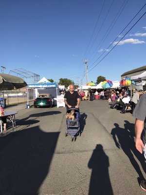 Sequim Lavender Festival by null