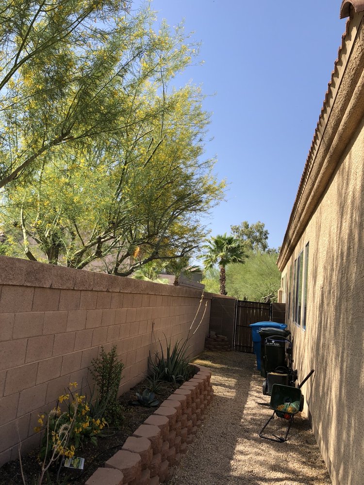 Yahweh tree and landscape - tree service in Glendale, AZ