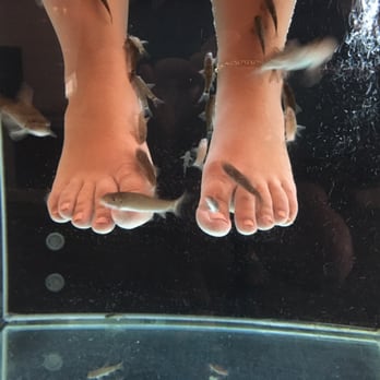 AquaBliss Fish Spa - Day Spas Near Me - Barcelona, B AquaBliss Fish Spa - Day Spas Near Me - Barcelona, B