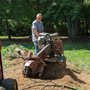 Photo of Top & Drop Tree Service