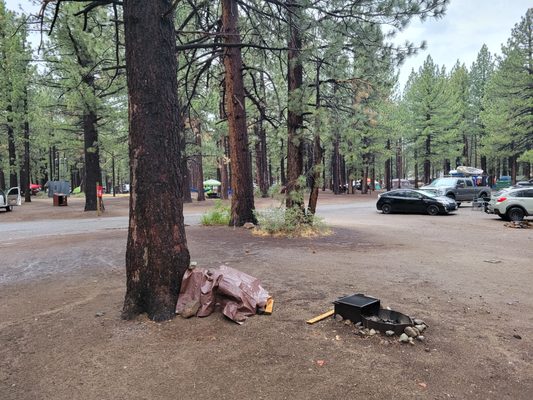 Mammoth Campground by null