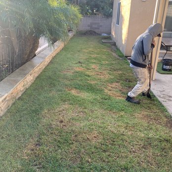 Earth Design Synthetic Turf - Before, my natural grass with dog damage - Artificial Turf Near Me - Irvine, California Earth Design Synthetic Turf - Before, my natural grass with dog damage - Artificial Turf Near Me - Irvine, California