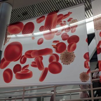 Science World - Red blood cells. Second floor. - Museums Near Me - Vancouver, British Columbia Science World - Red blood cells. Second floor. - Museums Near Me - Vancouver, British Columbia