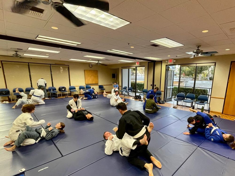 Bushido-Kai Brazilian Jiu-Jitsu Logo