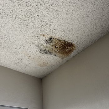 Mariposa Fremont - This is the leak! - Apartments Near Me - Fremont, California Mariposa Fremont - This is the leak! - Apartments Near Me - Fremont, California