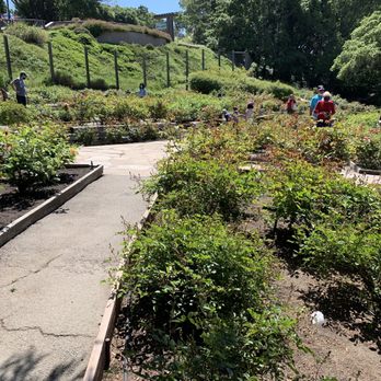 The Berkeley Rose Garden - Botanical Gardens Near Me - Berkeley, California The Berkeley Rose Garden - Botanical Gardens Near Me - Berkeley, California