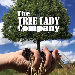 The Tree Lady