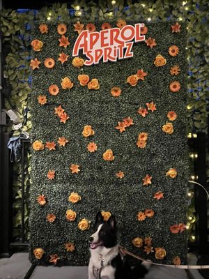 Hampden Yards - Beer Garden by null