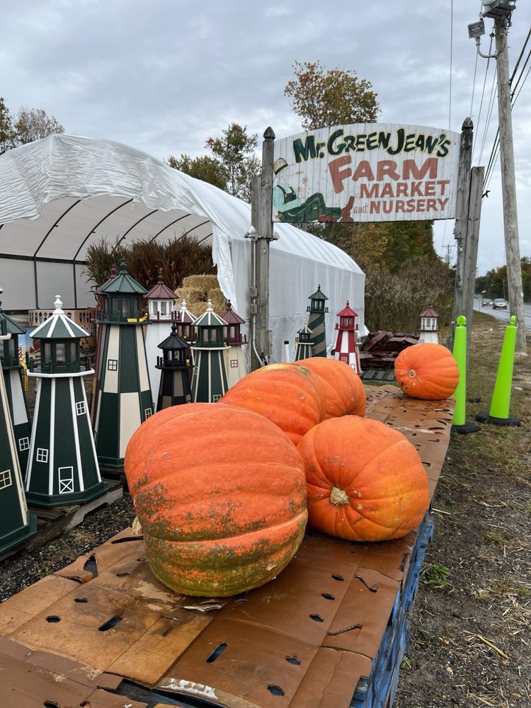 MR GREEN JEANS FARM MARKET & NURSERY Updated October 2024 18 Photos