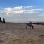 Photo of Wild Horizon Farm