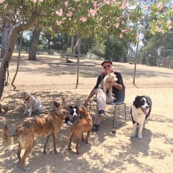 All Things Pets - Play date in the park.