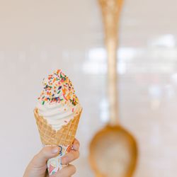 Golden Spoon