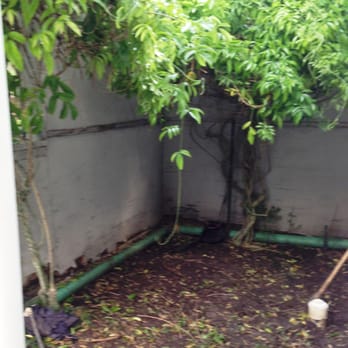 Aztec Decorative Concrete - Our lush wisteria vines, as seen the day before the concrete was poured. - Masonry/Concrete Near Me