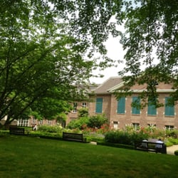 Rosengarten am Stadtmuseum