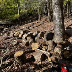 Lake Region Lawn Care - Chain sawing