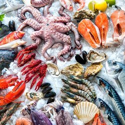 OLONG TRADING - Sea foods