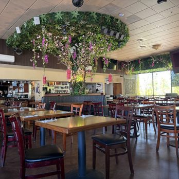 Orchid Thai Cuisine - Inside of the restaurant. Lots of artificial flowers and plants, it must be fun to dust! - Thai Near Me - Lincoln, California Orchid Thai Cuisine - Inside of the restaurant. Lots of artificial flowers and plants, it must be fun to dust! - Thai Near Me - Lincoln, California
