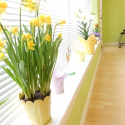 Pilates Pasadena - The studio is pretty and cheerful!