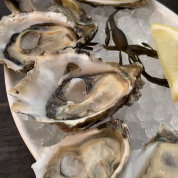 Kimball House - Raw Oysters - New American Near Me - Decatur, Georgia Kimball House - Raw Oysters - New American Near Me - Decatur, Georgia