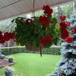 Peters Creek Inn - Flowers