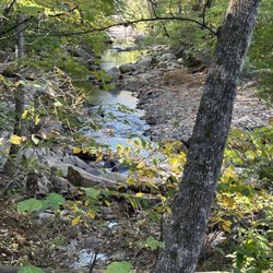 Hanging Rock Battlefield Trail - the old trail follows the creek